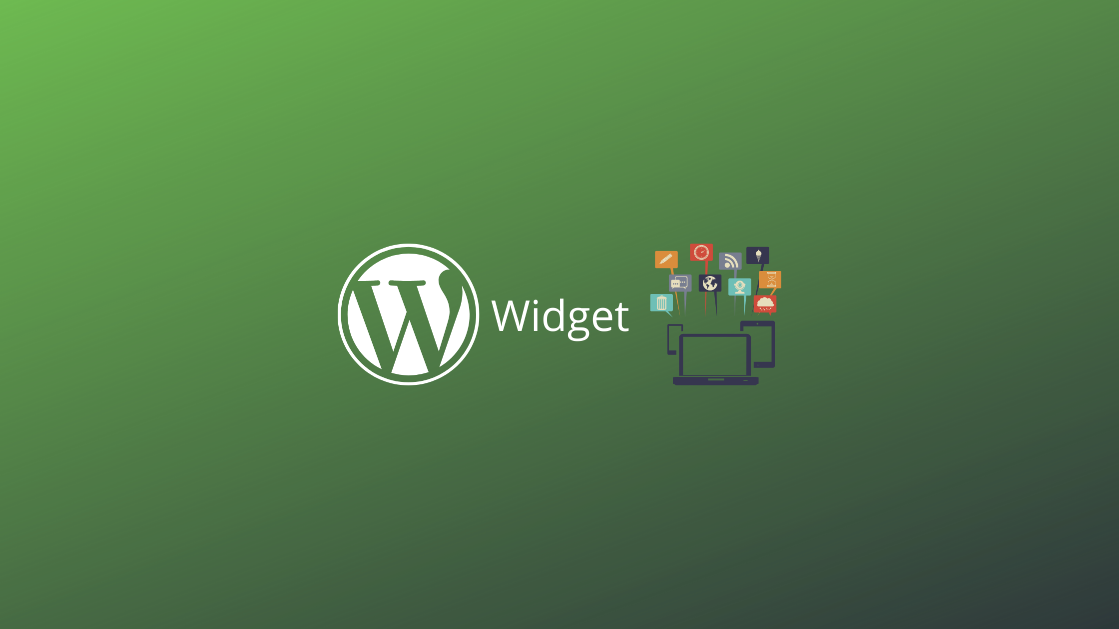 1611993541 wordpress widget