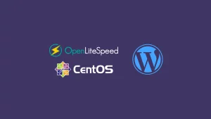 如何使用CentOS 7/8.x+LiteSpeed在VPS上搭建WordPress网站(完整教程)