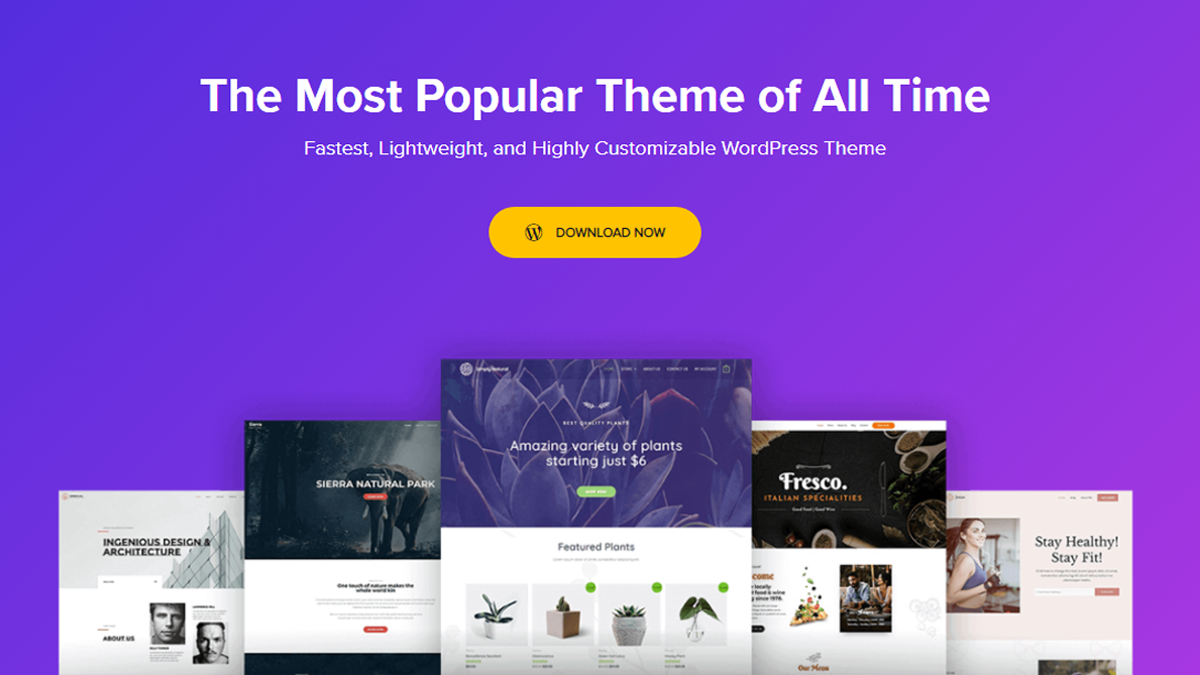 12款WordPress + WooCommerce的轻量电商主题