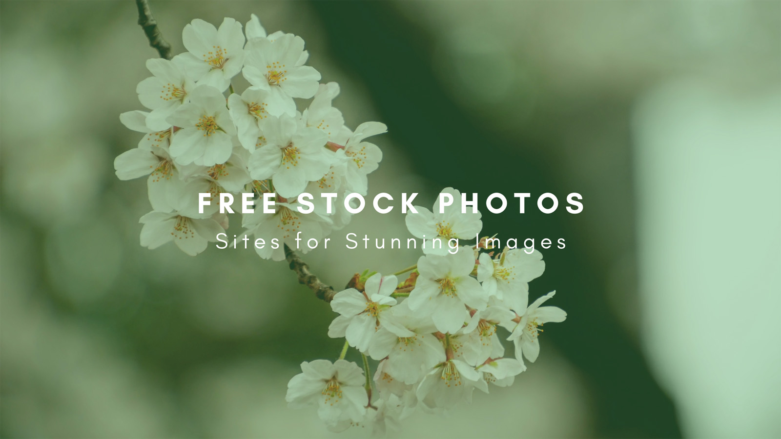 Sites for free stock photos