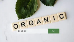 什么是Organic Search Results(自然搜索结果)