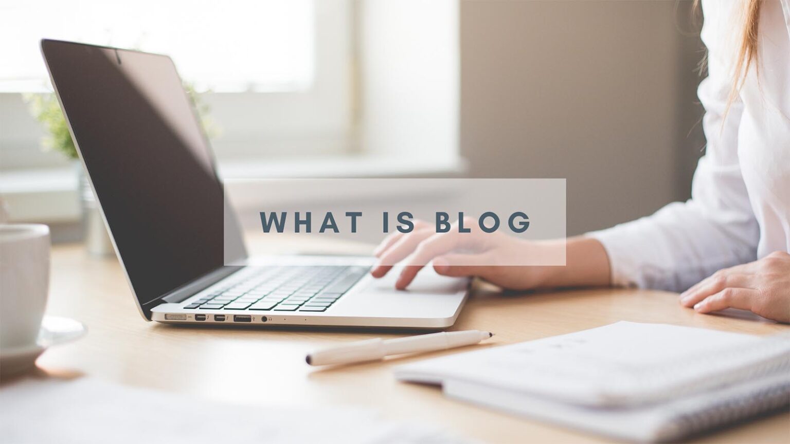 独立站免费流量之Blog博客推广 | 青松跨境B2C