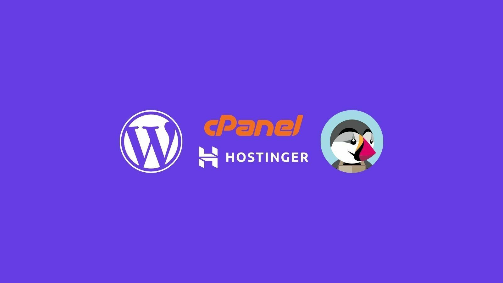 怎么购买Hostinger cPanel主机？如何安装WordPress或Prestashop