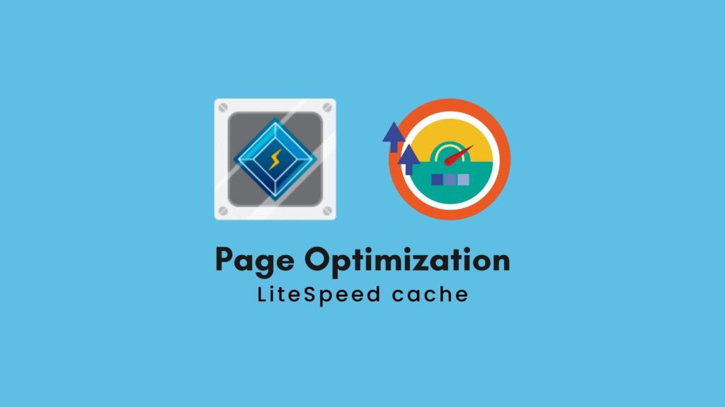 Litespeed Cache设置网站优化之网页优化(Page Optimization)
