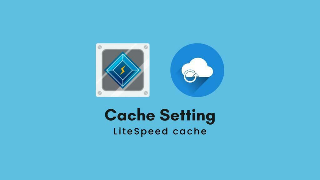 Litespeed cache插件给网站优化加速之缓存加速(Cache)