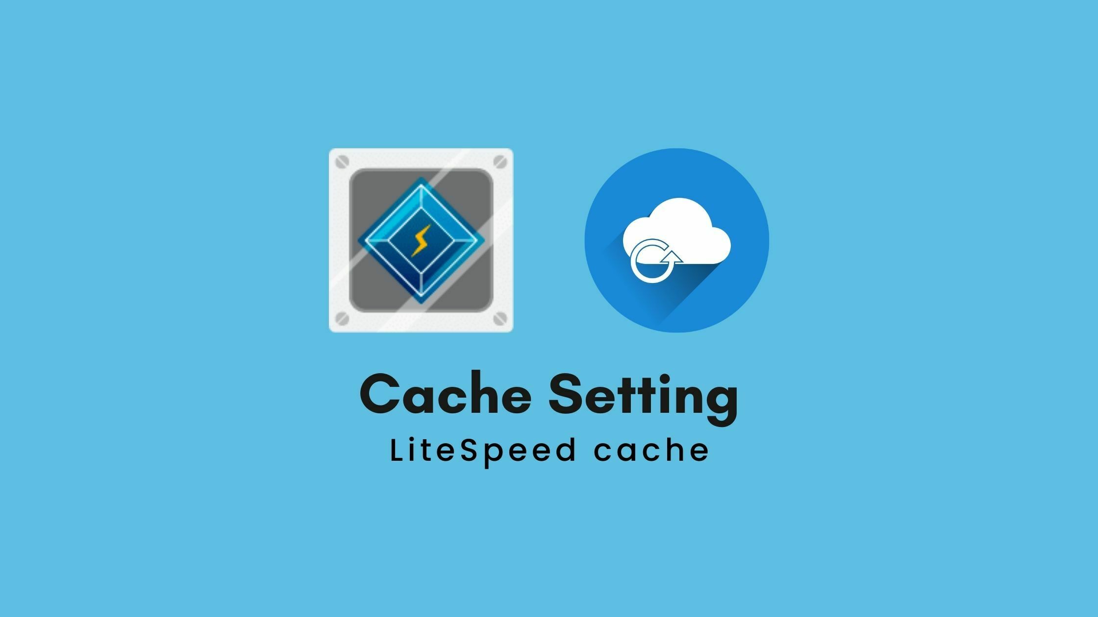 Litespeed cache setting