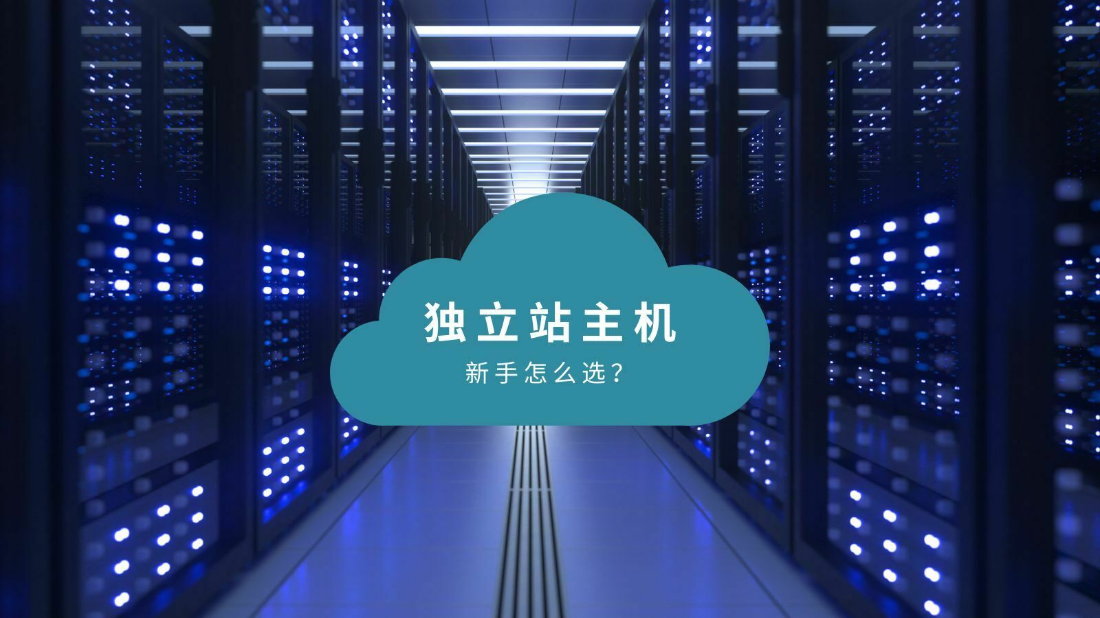 新手自己独立站 主机选择