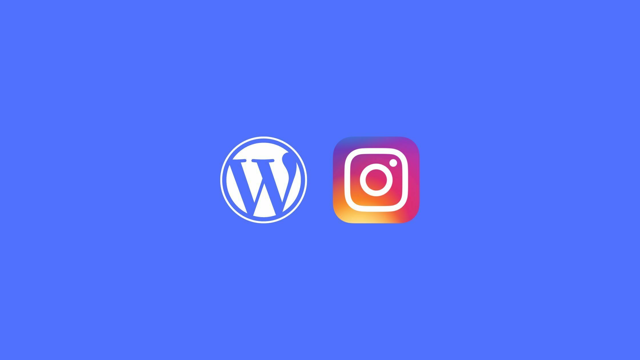 instagram feed in wordpress