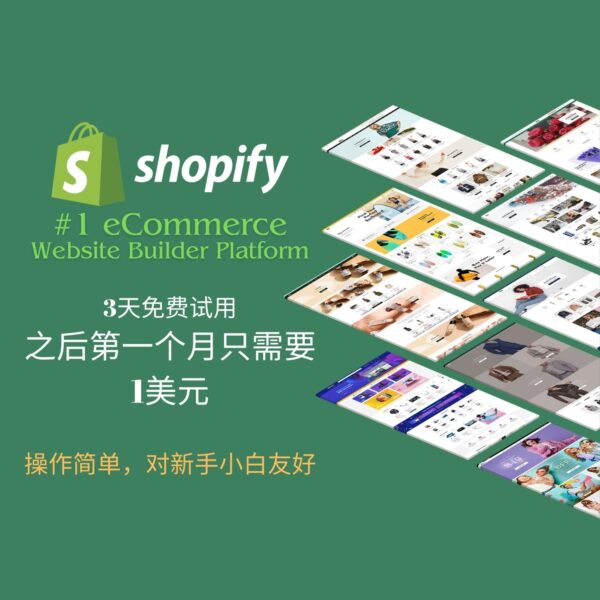 搭建和使用Shopify独立站的注意事项,避免被封 | 青松跨境B2C