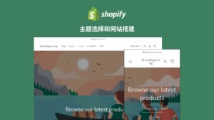 Shopify建站系列四：主题选择和搭建,Shopify网站自定义